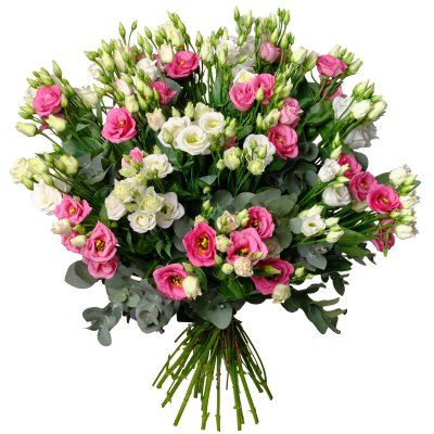 Eustoma s eukalyptem Eustoma s eukalyptem